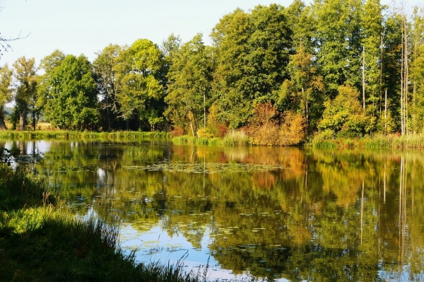 Zdjęcie z Polski - Park pałacowy jesiennie