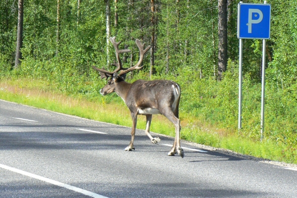 Zdjęcie ze Szwecji - Parking?
