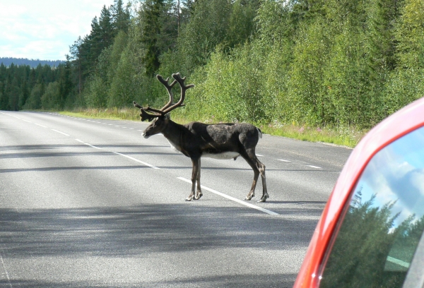 Zdjęcie ze Szwecji - Parking?