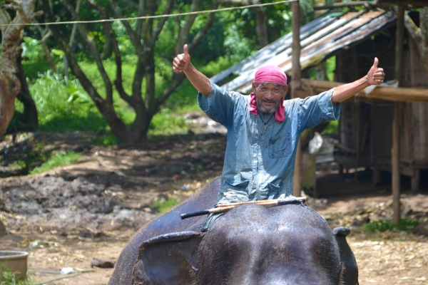 Zdjęcie z Tajlandii - Miszczu od sloni
