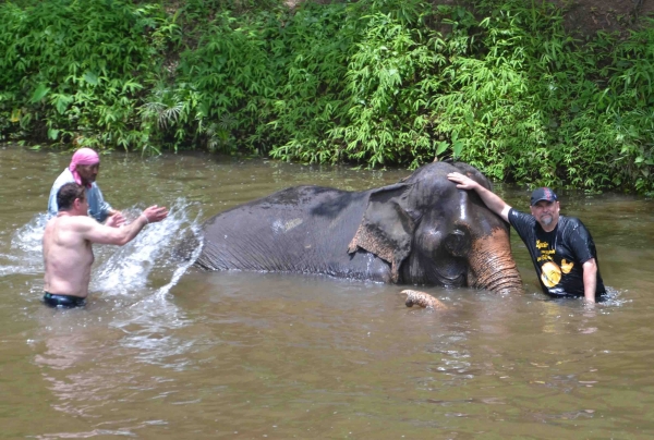 Zdjęcie z Tajlandii - Akcja wykapac slonia :)
