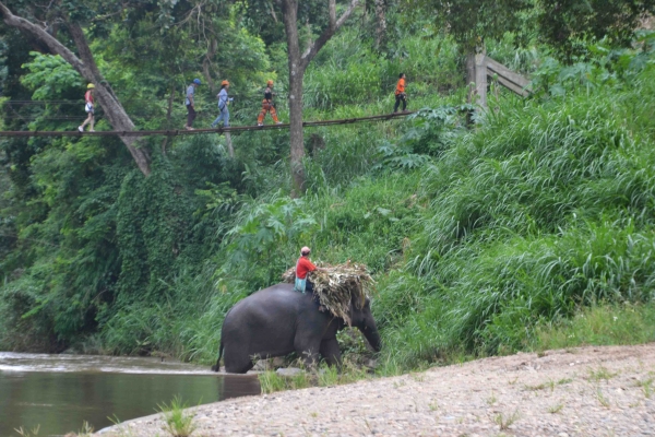 Zdjęcie z Tajlandii - Splyw bambusowymi tratwami