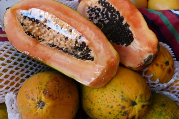 Zdjęcie z Portugalii - a to już znane wszystkim papaje