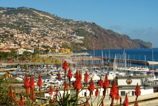 Zdjęcie z Portugalii - widok na port w Funchal z Ogrodu Św. Katarzyny