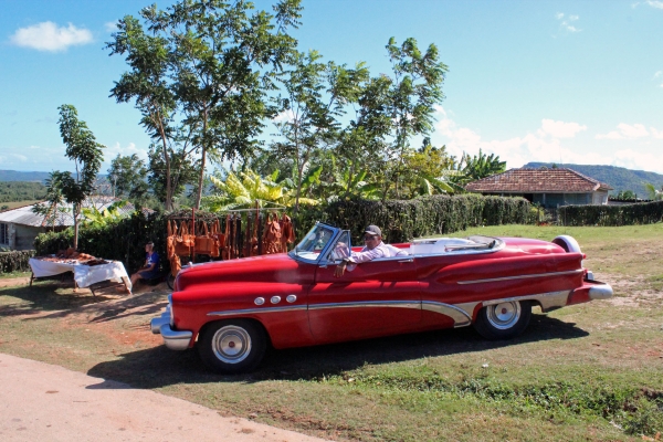 Zdjęcie z Kuby - Koło hotelu Club Amigo Guardalavaca, Kuba