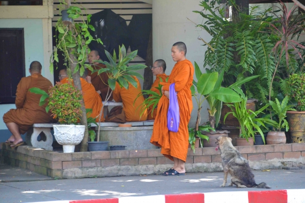 Zdjęcie z Tajlandii - Mnichow buddyjskich widac tam na kazdym kroku