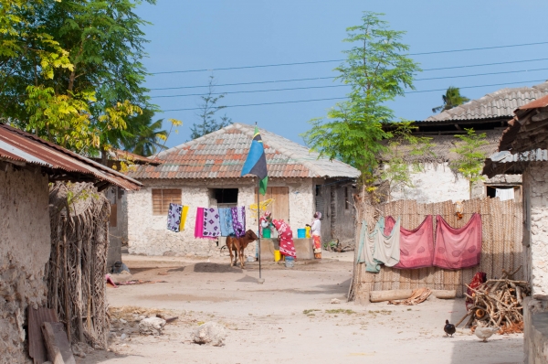 Zdjęcie z Tanzanii - w wiosce Matemwe