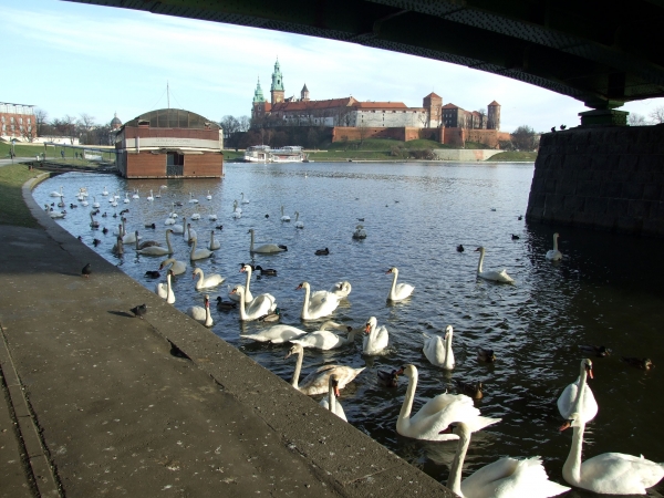 Zdjęcie z Polski - pod mostem