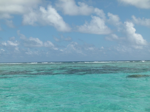Zdjęcie z Belize - Morze Karaibskie z rafa