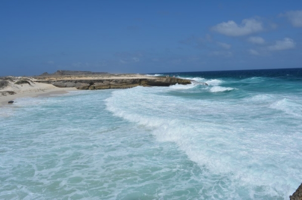 Zdjęcie z Bonaire - 