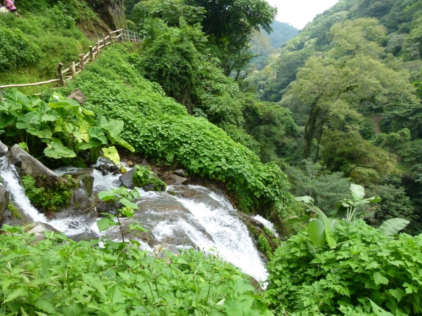 Zdjęcie z Salwadoru - Juayua i wodospady