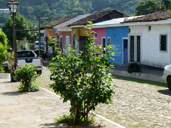 Zdjęcie z Salwadoru - Apaneca jedna z uliczek