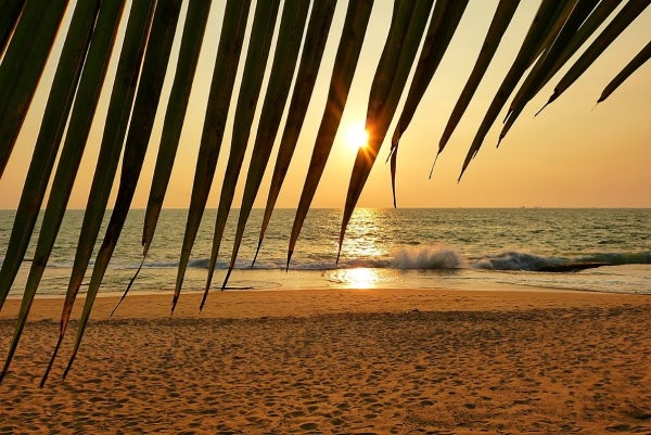 Zdjęcie ze Sri Lanki - wieczór na plaży...