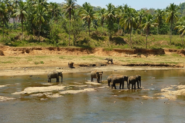 Zdjęcie ze Sri Lanki - w końcu dotarliśmy nad rzekę Ma Oya