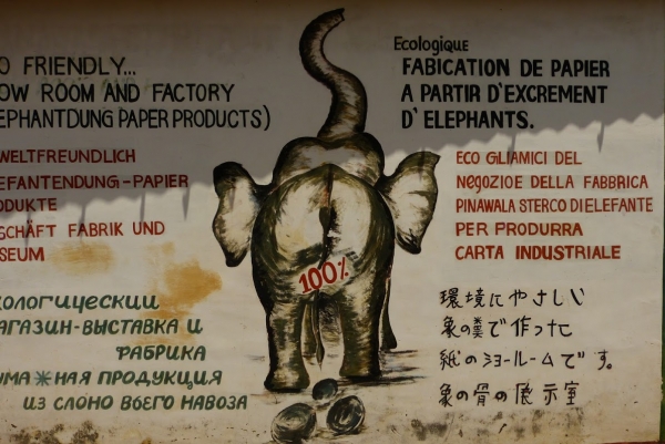Zdjęcie ze Sri Lanki - ze słoniowych odchodów wytwarza się tutaj ciekawy papier słoniowy:)