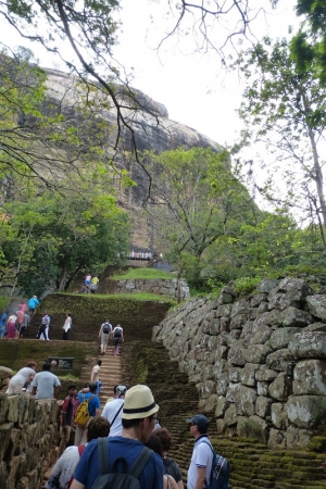 Zdjęcie ze Sri Lanki - pierwszy etap schodeczków