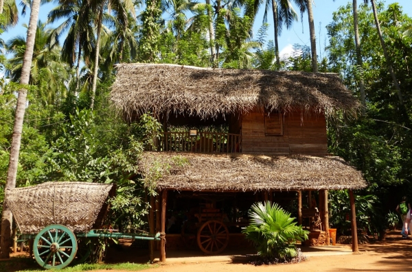 Zdjęcie ze Sri Lanki - ajurwedyjski ogród przypraw w Matale