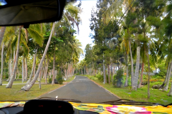 Zdjęcie z Nowej Kaledonii - W drodze do Yejele Beach