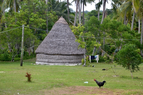 Zdjęcie z Nowej Kaledonii - Nowokaledonska wies, takie chaty jeszcze u uzyciu