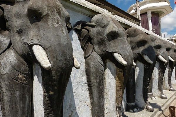 Zdjęcie ze Sri Lanki - 355 słoniowych głów wokół dagoby
