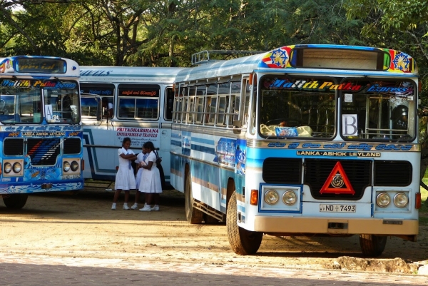 Zdjęcie ze Sri Lanki - kilka autobusów dzieciaków chyba z połowy Sri Lanki