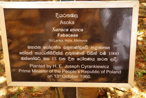 Zdjęcie ze Sri Lanki - Józio tu był już wtedy....
