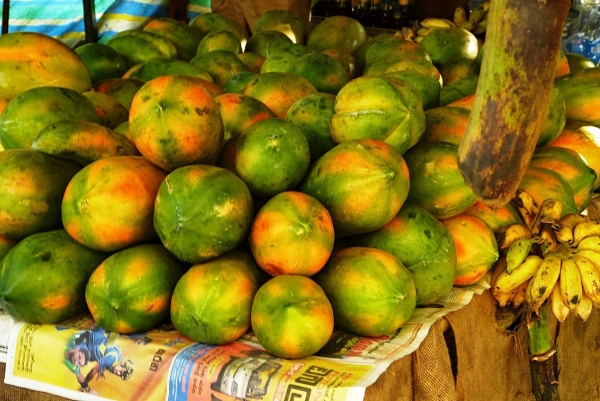 Zdjęcie ze Sri Lanki - owocowy zawrót głowy