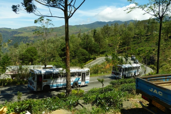 Zdjęcie ze Sri Lanki - herbaciane wzgórza Nuwara Eliya