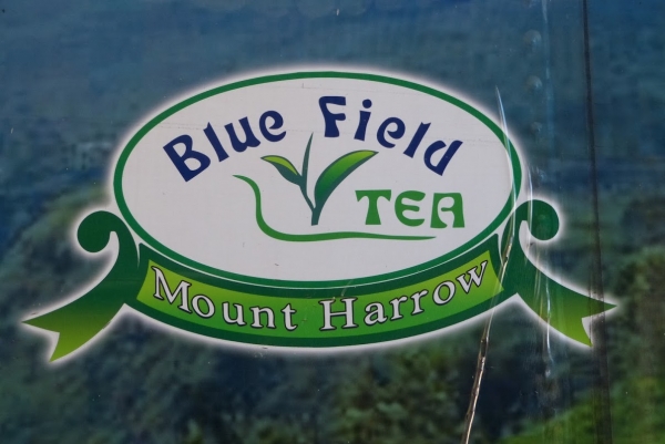 Zdjęcie ze Sri Lanki - Fabryka Herbaty na plantacji  Blue Field 