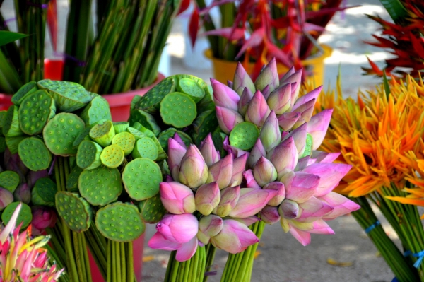 Zdjęcie z Vanuatu - Lotosy na kwiatowym targu