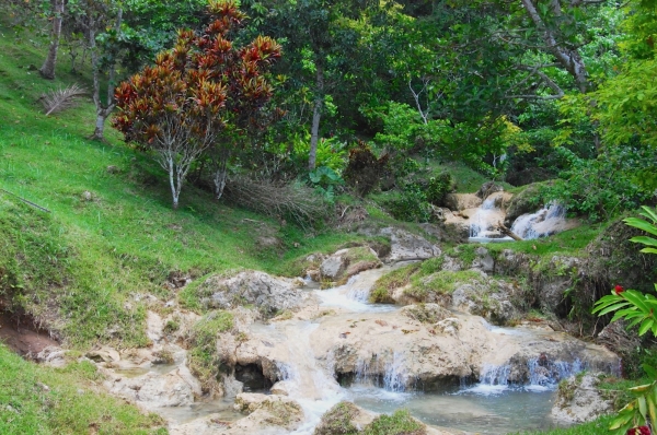 Zdjęcie z Vanuatu - Okolice wodospadu Mele
