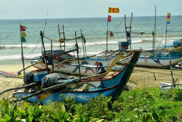 Zdjęcie ze Sri Lanki - charakterystyczne łódki rybaków