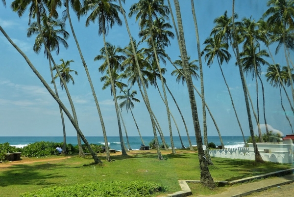 Zdjęcie ze Sri Lanki - Merissa