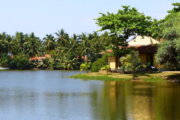 Zdjęcie ze Sri Lanki - nad hotelowymi jeziorkami....