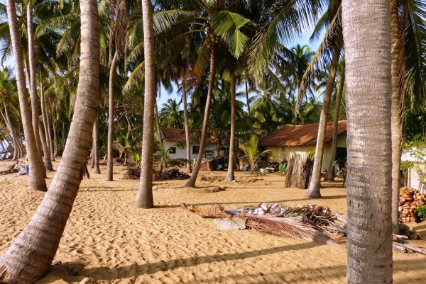 Zdjęcie ze Sri Lanki - wioska rybaków sąsiadująca z terenem hotelu, tuż za płotem