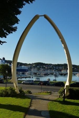 Zdjęcie z Norwegii - żebra wieloryba (płetwala błekitnego) tuż przy naszym hotelu 