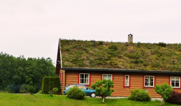 Zdjęcie z Norwegii - zwykłe domy norweskie z eko-dachami (torvtak) które za każdym razem wzbudzały mój zachwyt! 