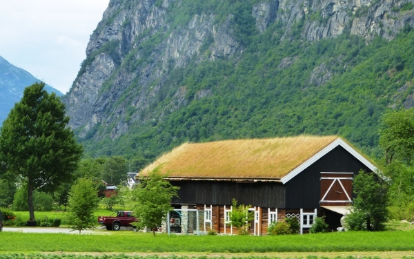Zdjęcie z Norwegii - chyba rozwalimy dachówkę na dachu naszego domu i też sobie trawkę posiejemy:))