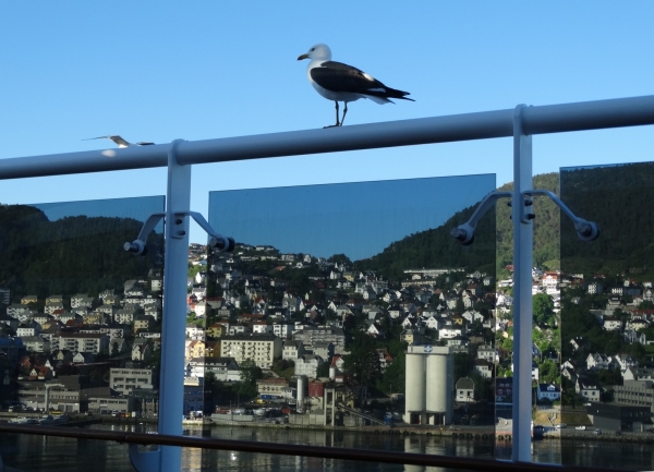 Zdjecie - Norwegia - Bergen
