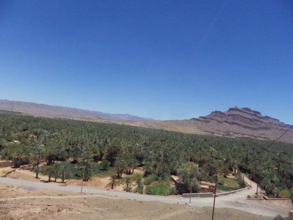 Zdjęcie z Maroka - No i wreszcie oazy - w tym jedna największa...ponad 1 milion drzew palmowych