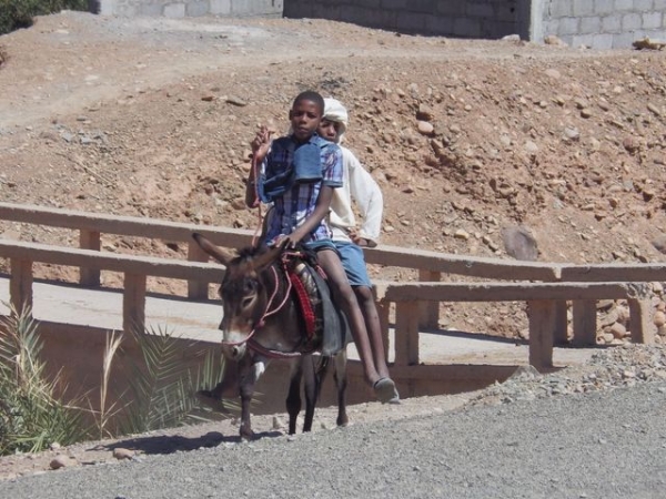 Zdjęcie z Maroka - Każdy środek transportu jest dobry...