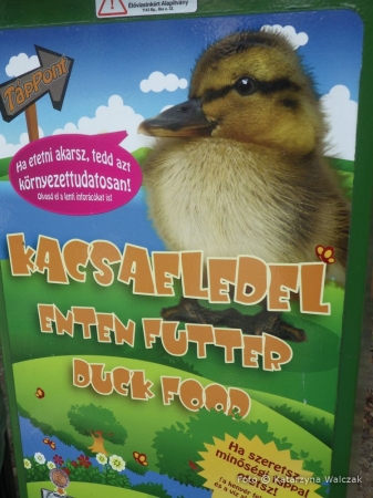 Zdjęcie z Węgier - Ciekawostka z Budapesztu - maszyna z karmą dla kaczek