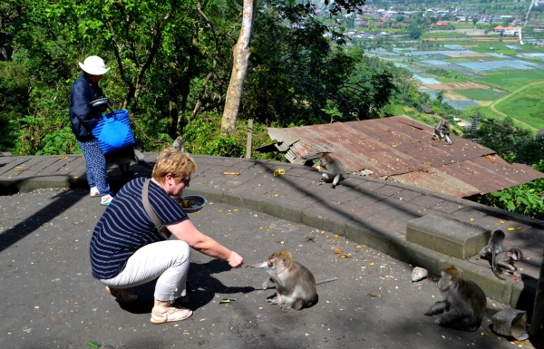 Zdjęcie z Indonezji - Z makakami :)