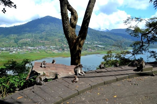 Zdjęcie z Indonezji - W drodze na punkt widokowy