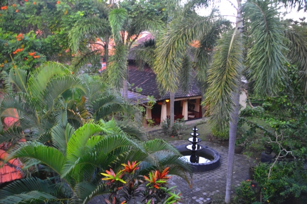 Zdjęcie z Indonezji - Widok z balkonu naszego pokoju
