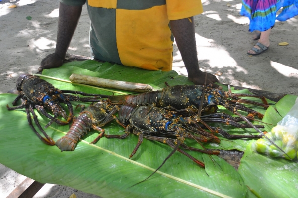 Zdjęcie z Vanuatu - Owoce Morza oferowane przez tubylcow po zawrotnych cenach :)