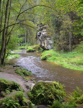Zdjęcie z Czech - Wąwóz rzeki Kamenice.