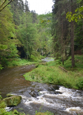 Zdjęcie z Czech - Wąwóz rzeki Kamenice