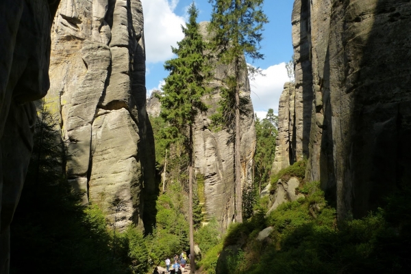 Zdjęcie z Czech - w kamiennym lesie