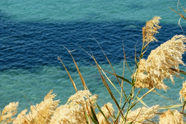 Zdjęcie z Cypru - ciepełko- zimą to naprawdę fantastyczny pomysł :)